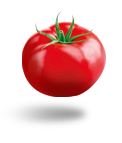 tomate